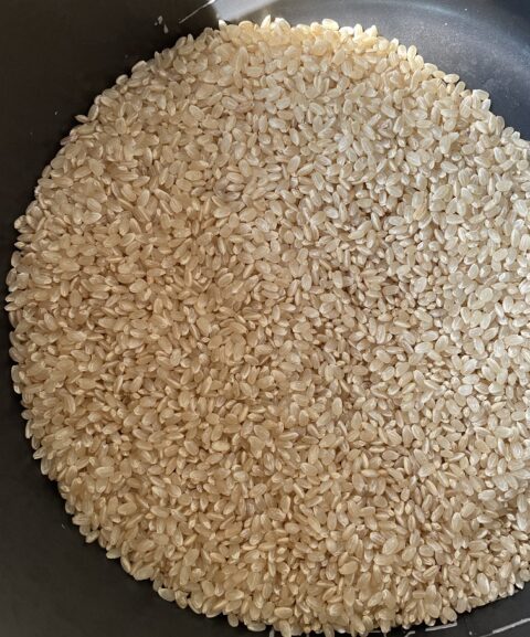 多古米の玄米の新米