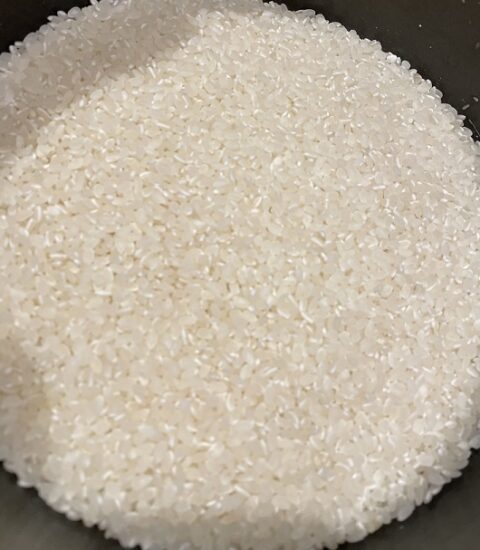 多古米の新米の米