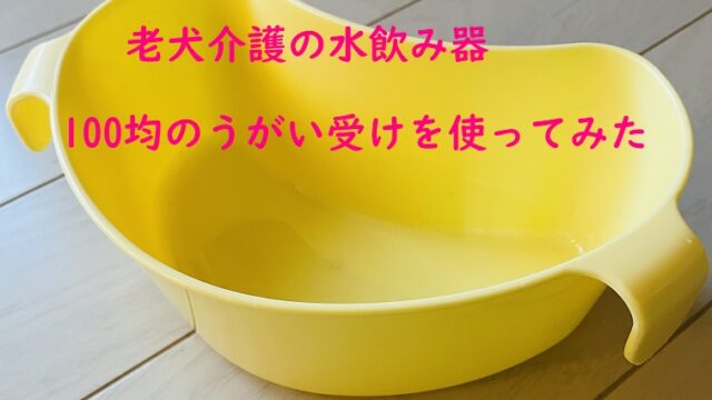 老犬介護の水飲み器に100均のうがい受けを使ってみた