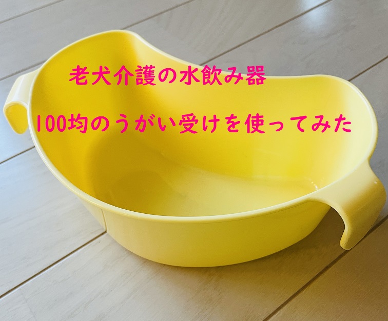 老犬介護の水飲み器に100均のうがい受けを使ってみた